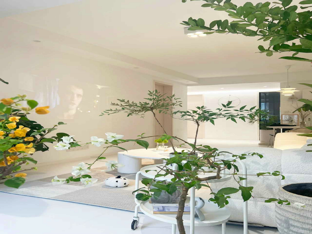 龍發裝飾建議綠色植物法治理裝修污染.jpg